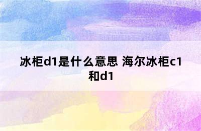 冰柜d1是什么意思 海尔冰柜c1和d1